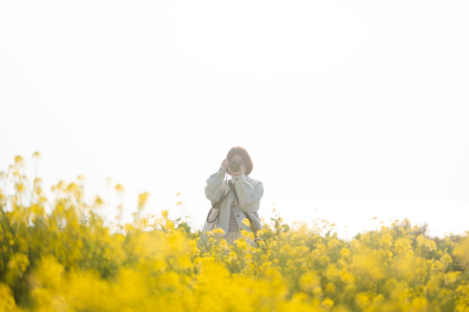 「菜の花畑で写活するカメラ女子」の写真