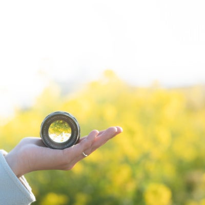 手の上の交換レンズと菜の花の写真