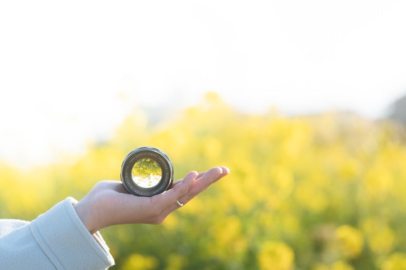 手の上の交換レンズと菜の花の写真
