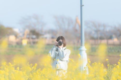 菜の花を撮影する女性フォトグラファーの写真