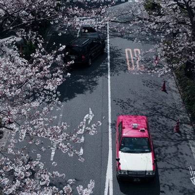 桜咲く道を走るタクシーの写真