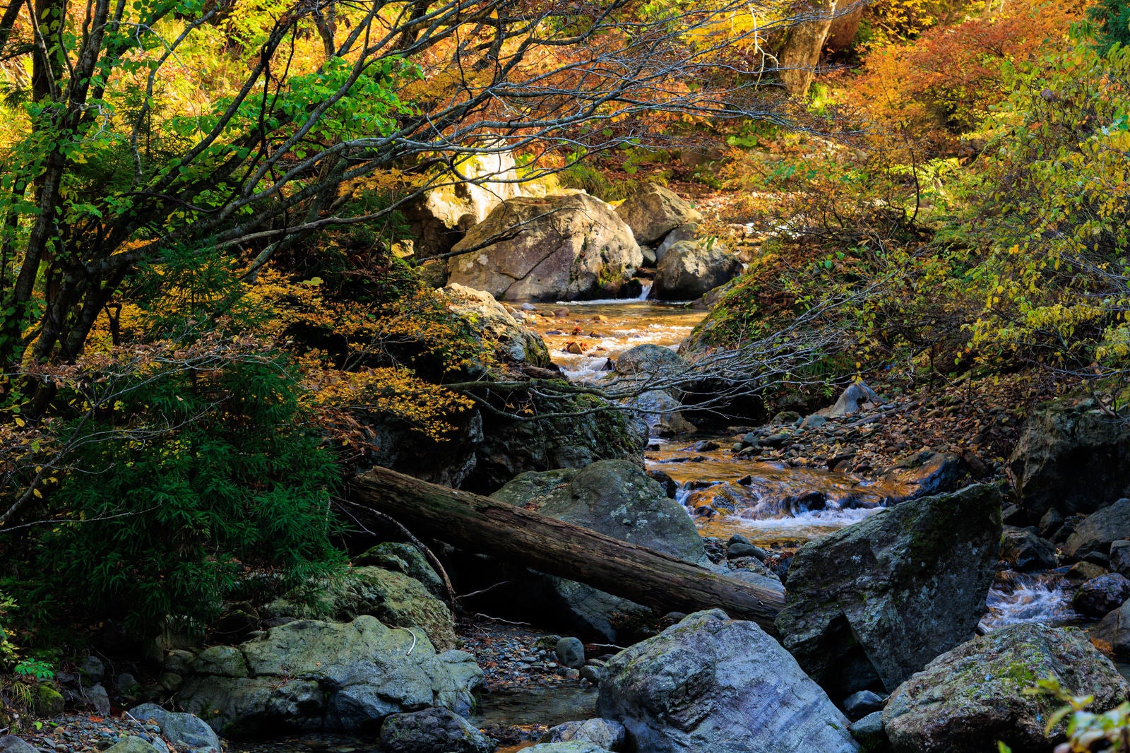 「紅葉と秋の渓谷」の写真