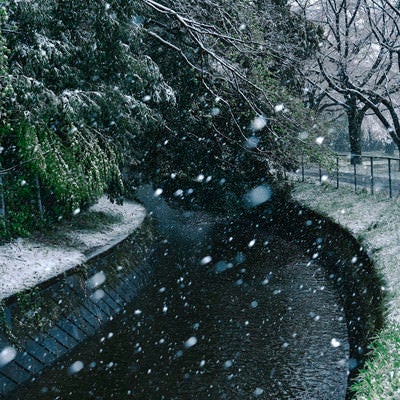 用水路に降り注ぐ雪の写真