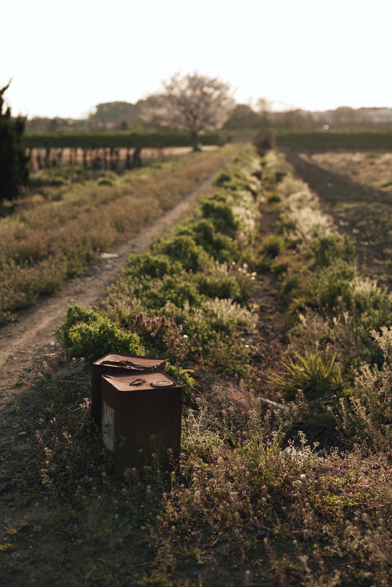 「畑の横に置かれた錆びた一斗缶」の写真