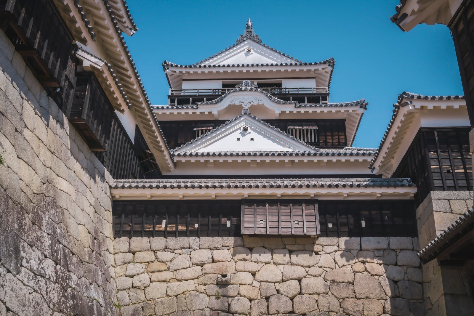 「松山城天守閣」の写真