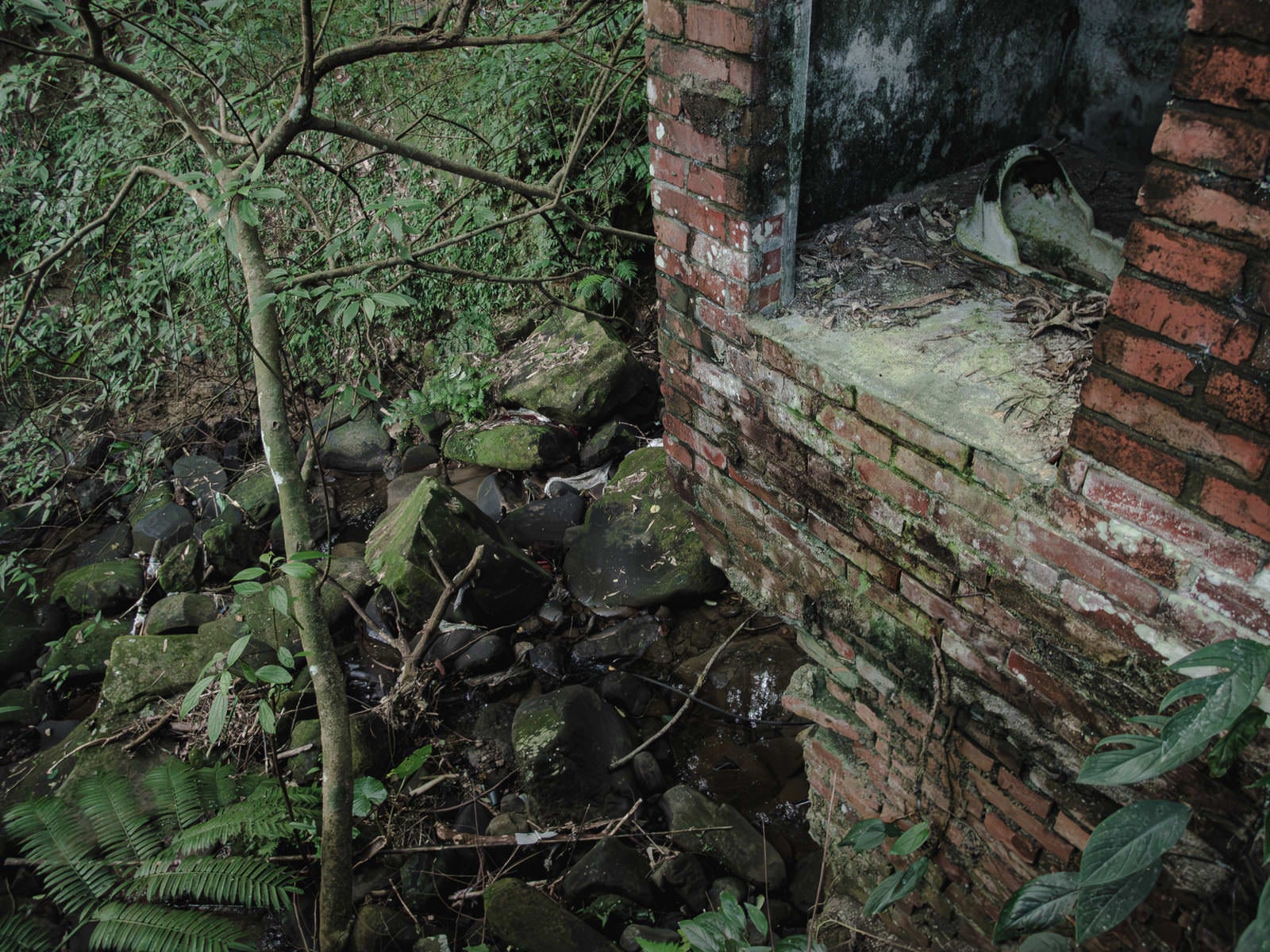 「半壊して残った煉瓦の壁と便器」の写真