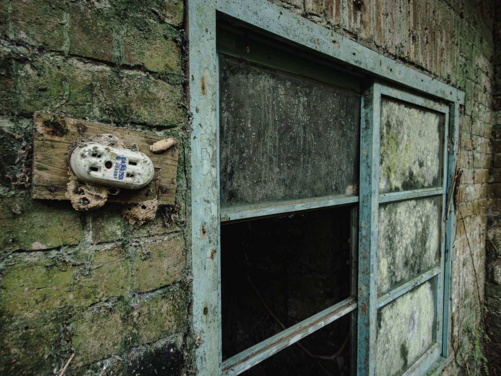 「壁に取りけられたコンセントと廃屋の窓」の写真