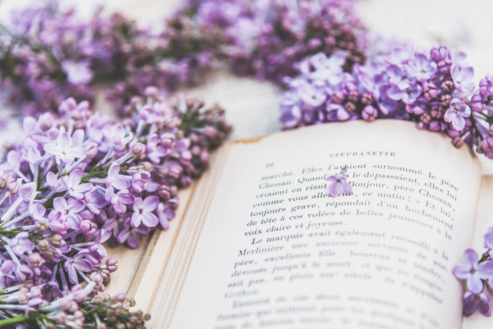 「読みかけのページに落ちるライラックの花びら」の写真