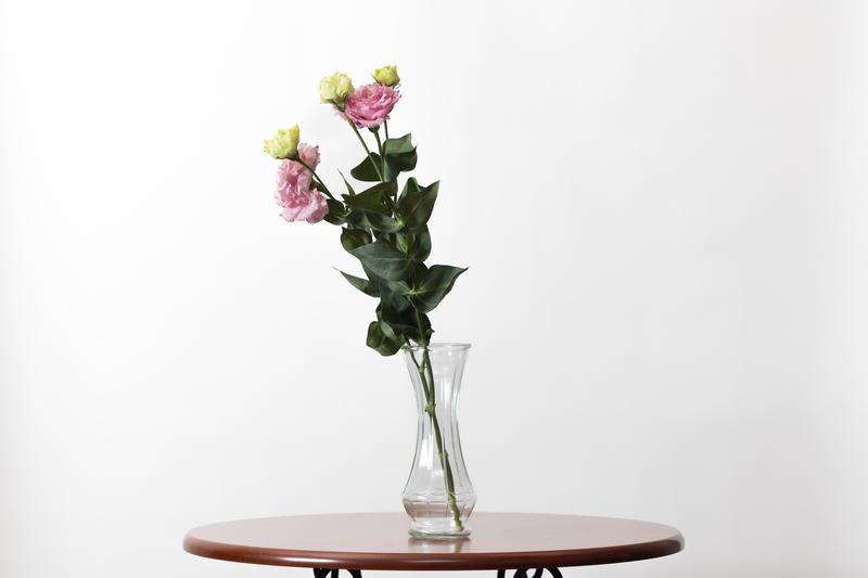 白いナデシコを活けた一輪挿しと花瓶で創る穏やかな空間 - ぱくたそ