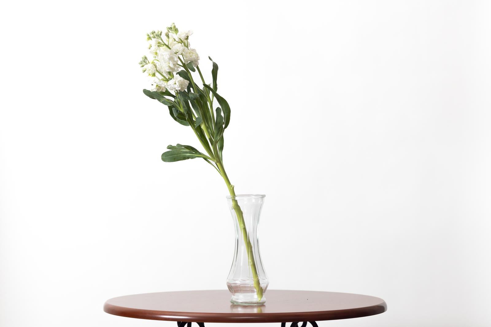 「一輪挿しと花瓶で創る穏やかな空間」の写真