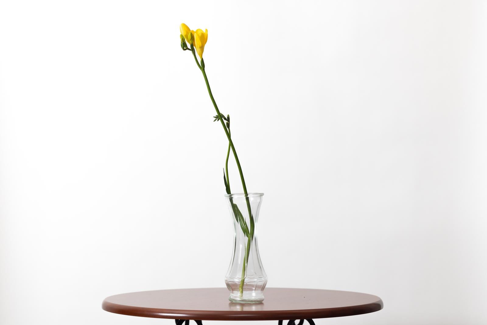 「テーブルの花瓶と黄色い蕾」の写真