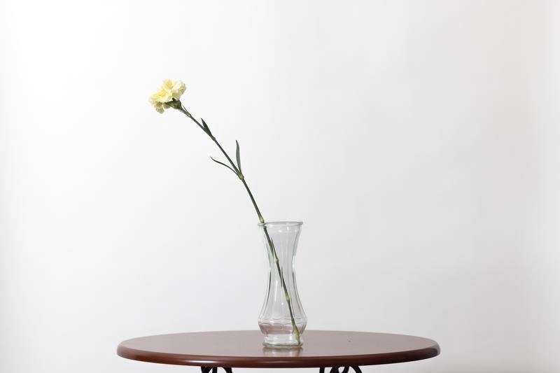 白いナデシコを活けた一輪挿しと花瓶で創る穏やかな空間 - ぱくたそ