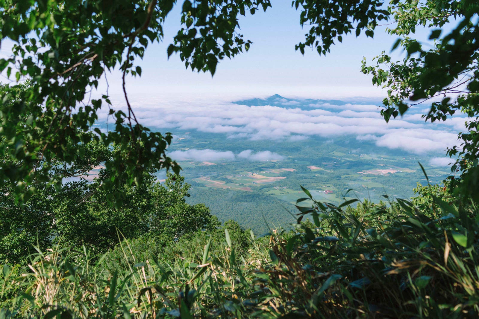 「雲海の向こうに見える尻別岳」の写真