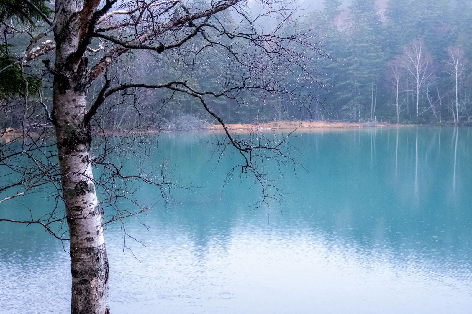 「北海道・阿寒国立公園オンネトーの湖面」の写真