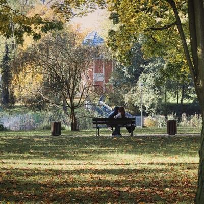 秋風に揺れる木々とベンチのカップル、チェンストホバの公園の写真