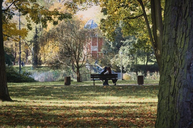 秋風に揺れる木々とベンチのカップル、チェンストホバの公園