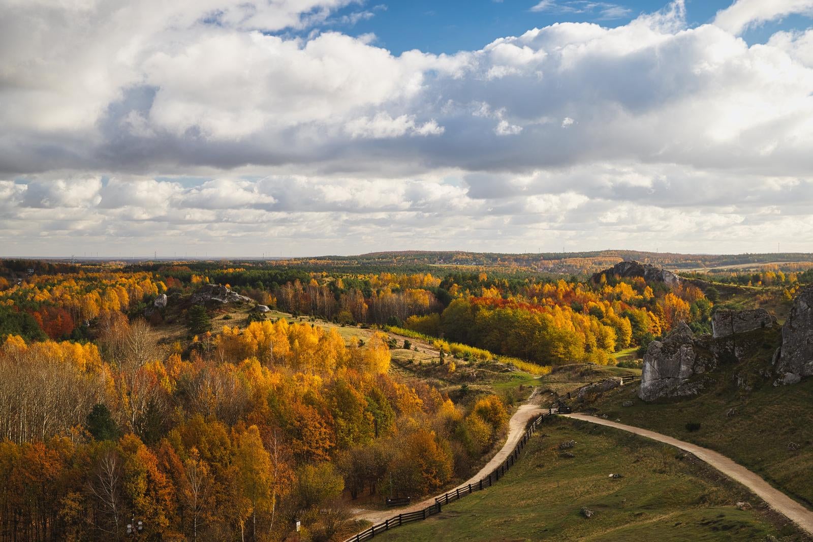 秋に色づいたチェンストホバの丘陵地帯を通る白い木柵の小道