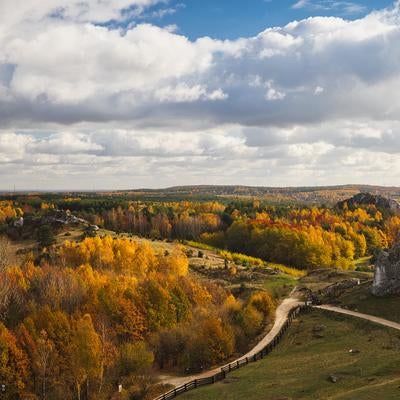 チェンストホバの丘陵地帯に沿って続く木柵の小道と秋の紅葉の写真
