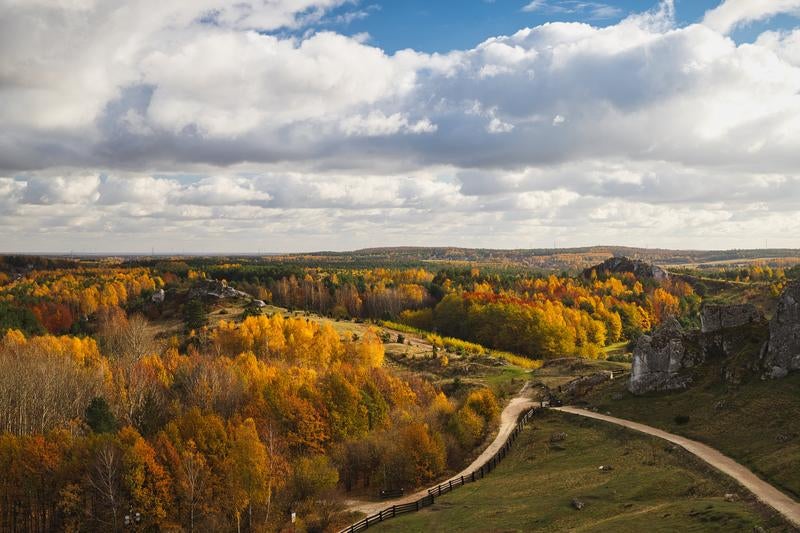 チェンストホバの丘陵地帯に沿って続く木柵の小道と秋の紅葉