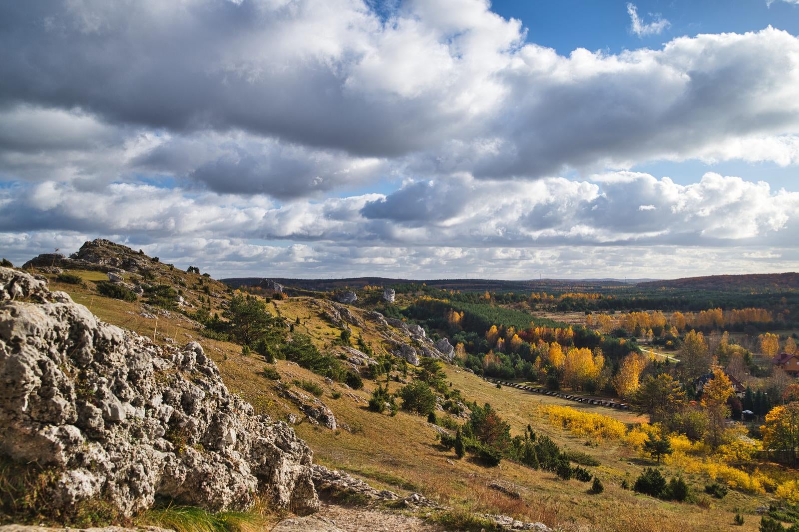 ポーランドのチェンストホバにある白い岩肌の丘から見た、秋に色づいた樹林地帯の風景