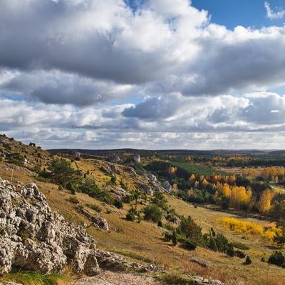 チェンストホバの丘陵を彩る秋の山岳風景と黄金のカラマツ林の写真