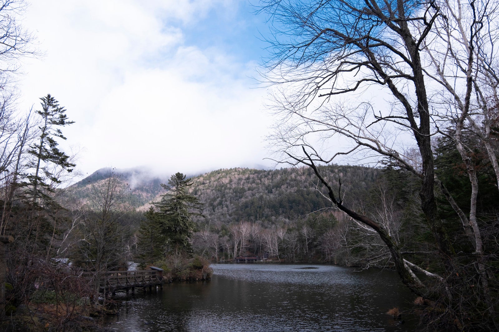 「北海道・阿寒湖と立ち枯れの山」の写真