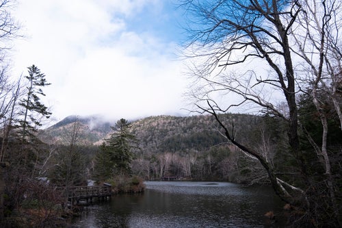 北海道・阿寒湖と立ち枯れの山の写真