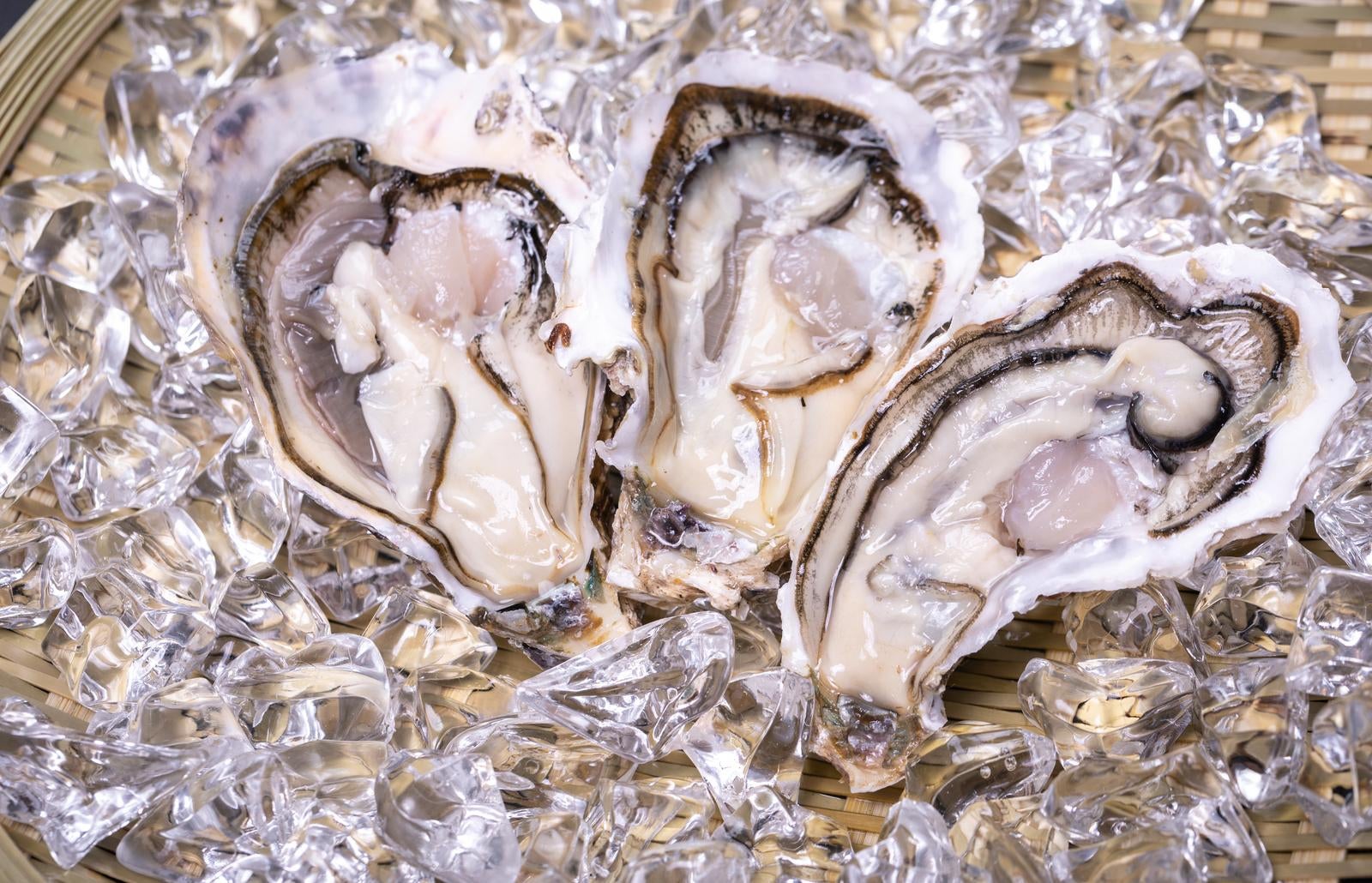 「生牡蠣の鮮度と風味の極み」の写真
