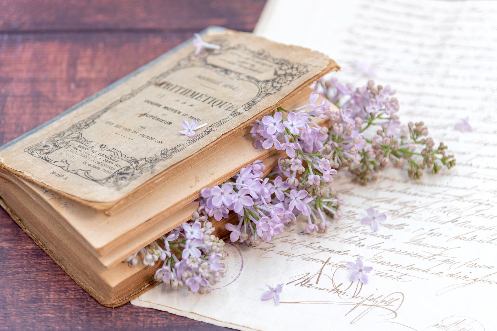 「洋書に挟まるライラックの花」の写真