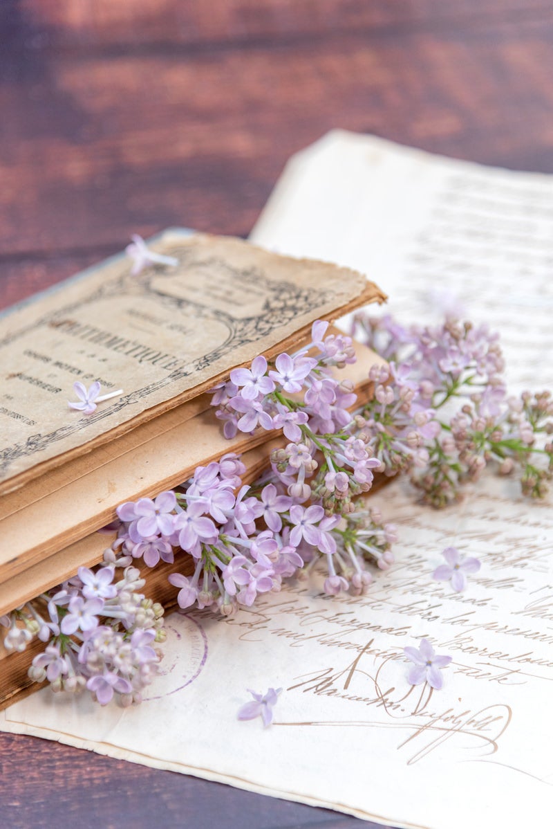 「洋書と手紙から溢れるライラックの花」の写真