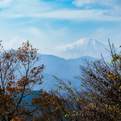 秀麗富岳倉岳山から見る富士山の写真