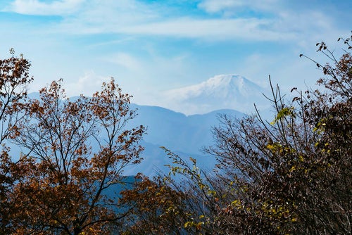 秀麗富岳倉岳山から見る富士山の写真