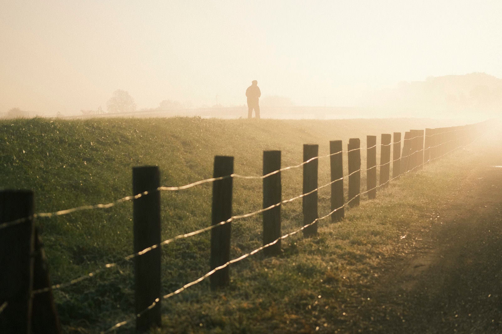「霧の朝の土手を散歩する人」の写真