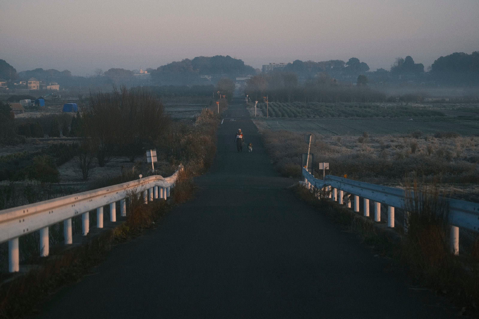 「霧の朝を散歩する人々」の写真