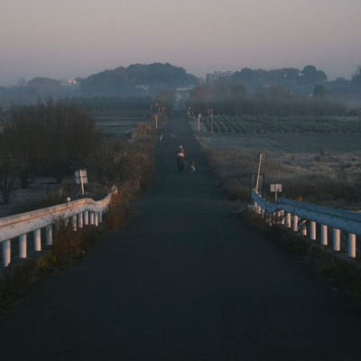 霧の朝を散歩する人々の写真