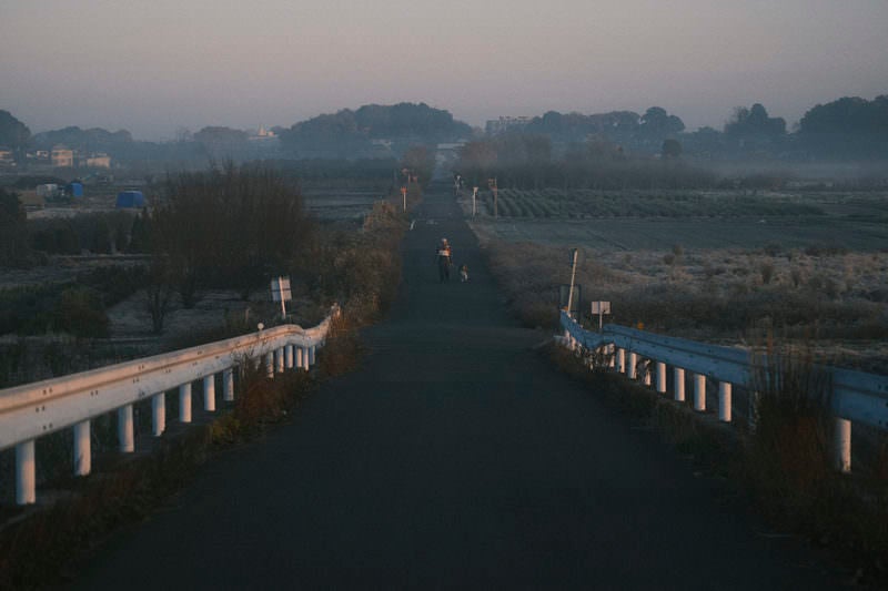 霧の朝を散歩する人々の写真