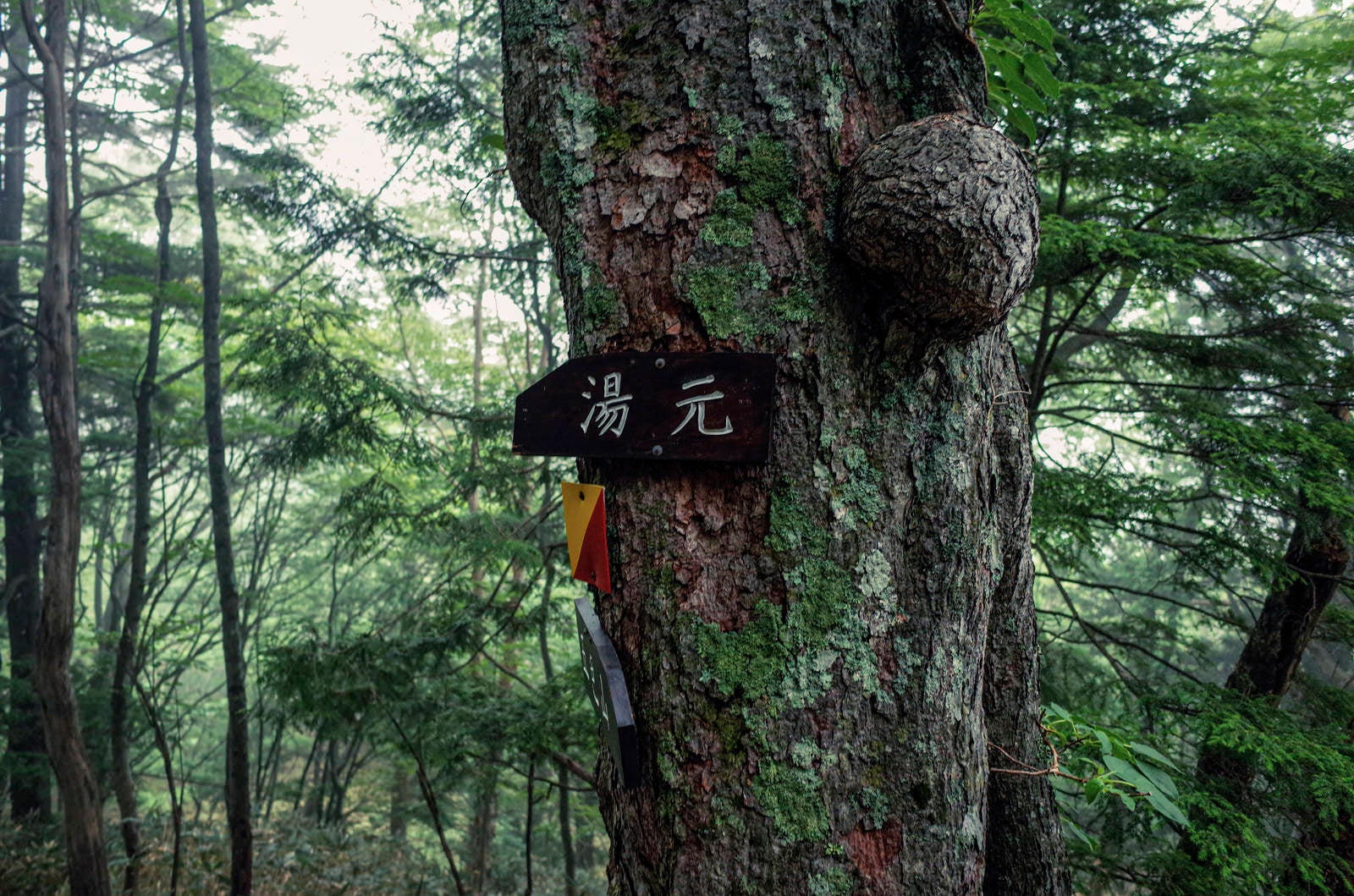「湯元温泉へいざなう指導標」の写真