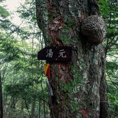 湯元温泉へいざなう指導標の写真