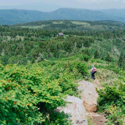 緑豊かな山稜線と遠方の山並みを望みながらトレッキングする人の素材