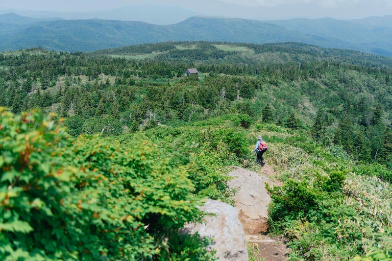 緑豊かな山稜線と遠方の山並みを望みながらトレッキングする人の写真
