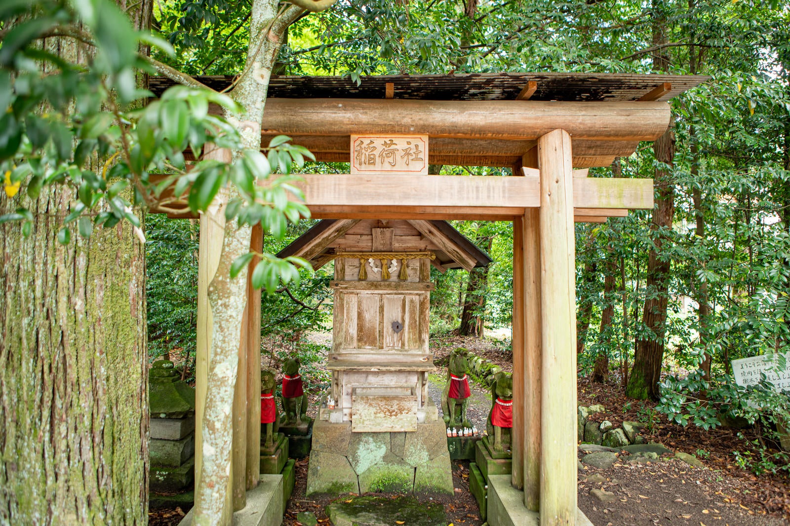 「須佐神社境内にある稲荷社（島根県出雲市）」の写真