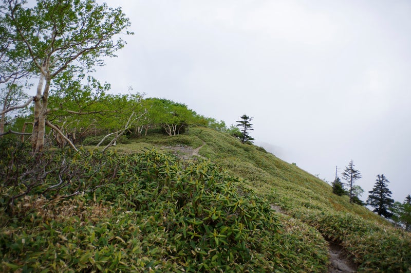 白根山五色岳方面への登山道の写真