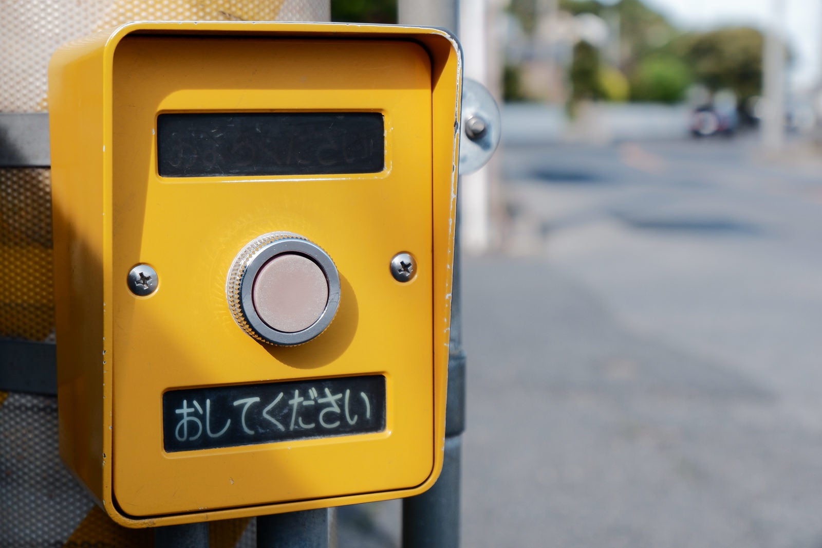 黄色い押しボタン式信号の「おしてください」ボタンと表示部