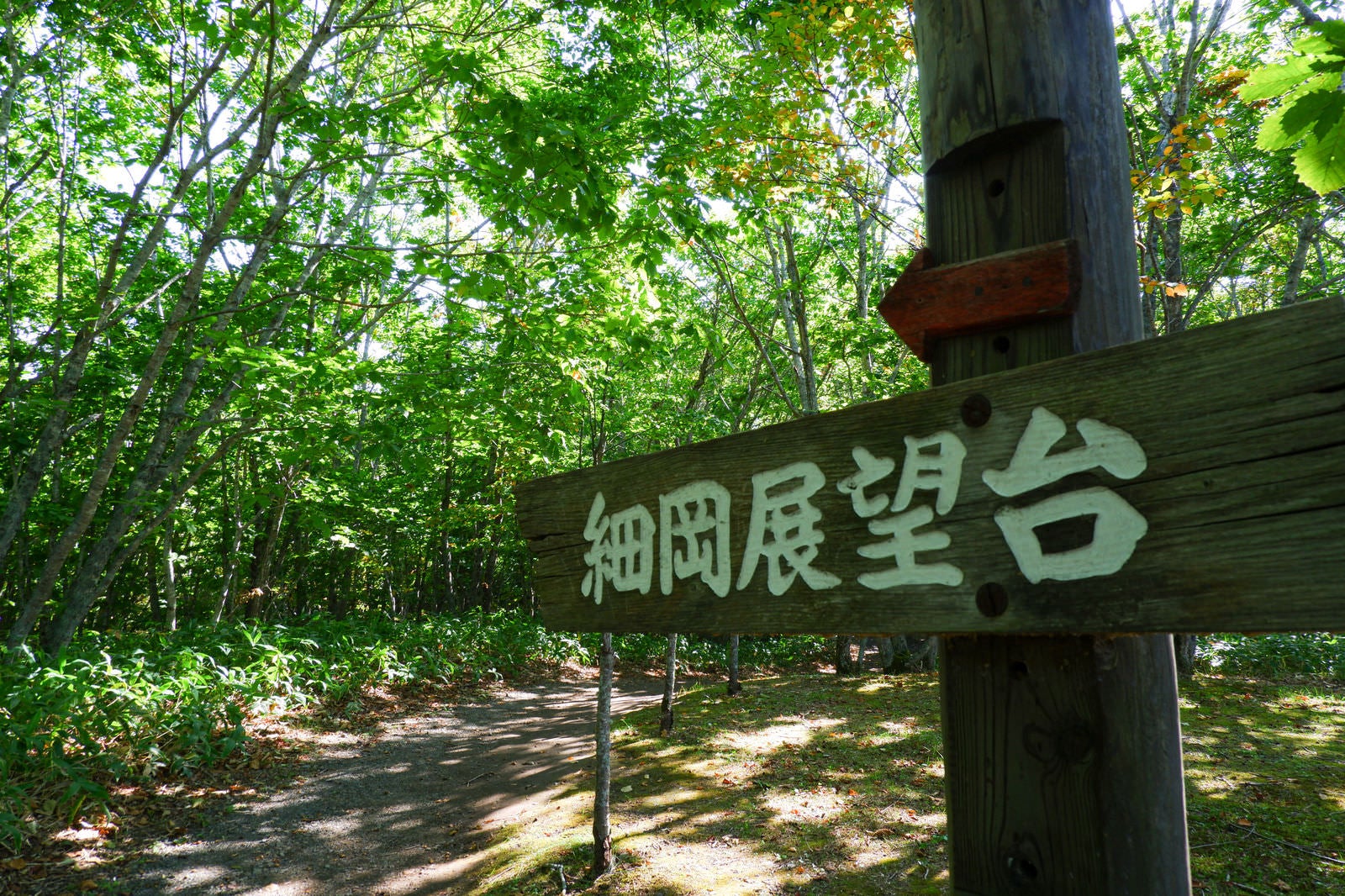 「釧路湿原国立公園・細岡展望台への指導標」の写真