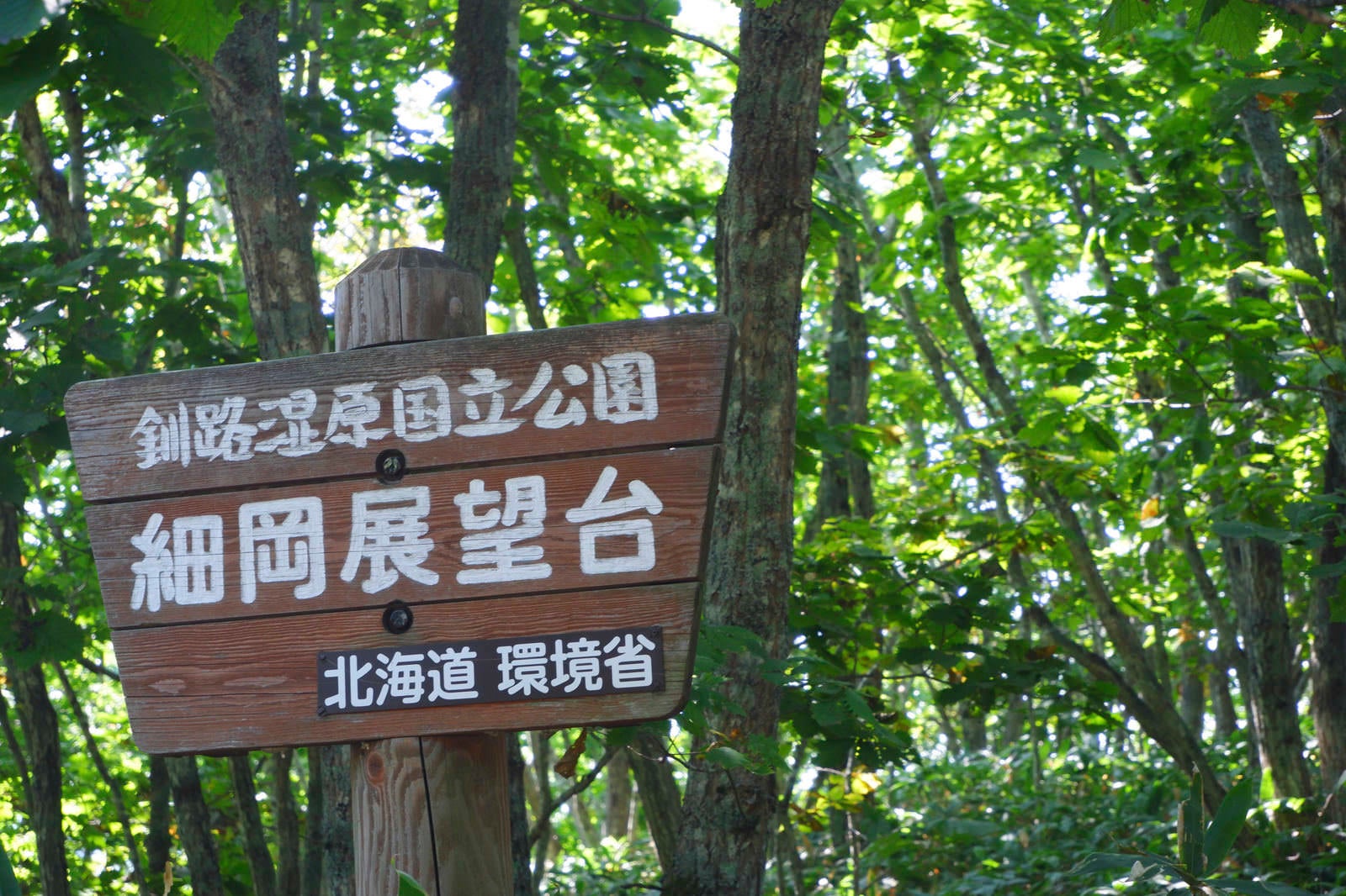 「釧路湿原国立公園・細岡展望台」の写真