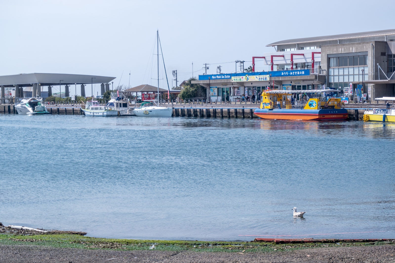 みうらみさき海の駅の港に停泊するうらり号と周辺の観光船