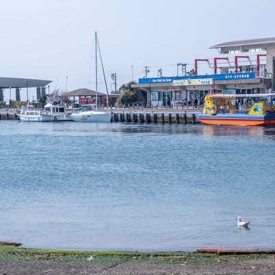 みうらみさき海の駅に停泊中のうらり号と港湾施設の写真