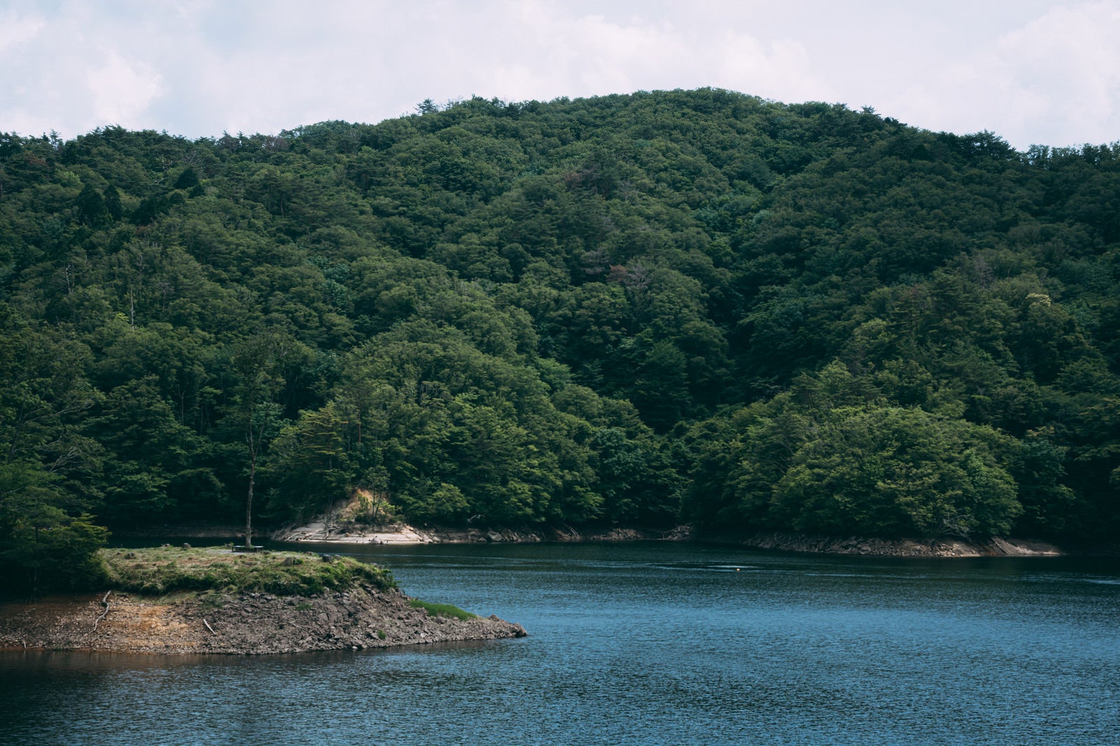 「ダム湖と湖畔を彩る木々（羽生ダム）」の写真