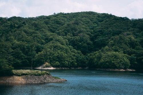 ダム湖と湖畔を彩る木々（羽生ダム）の写真
