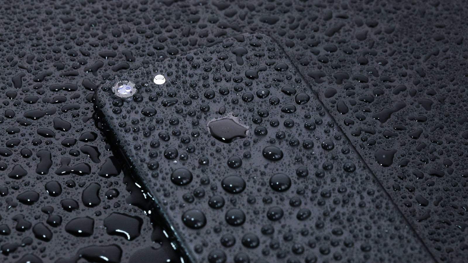 「耐水仕様の最新スマートフォン」の写真